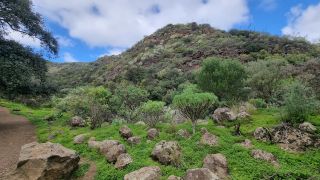 2024-01-GranCan-Barranco_de_los_Cernicalos-018.jpg